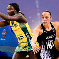 Constellation Cup Image