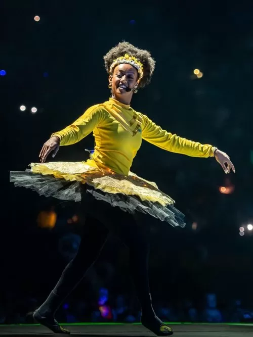 wiggles at the rac arena